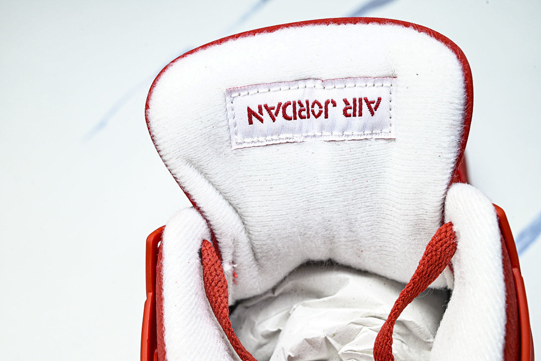 Air Jordan 4 FV5029-600