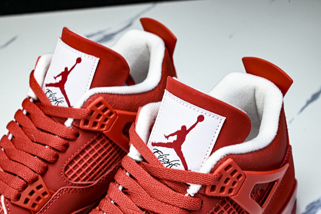 Air Jordan 4 FV5029-600