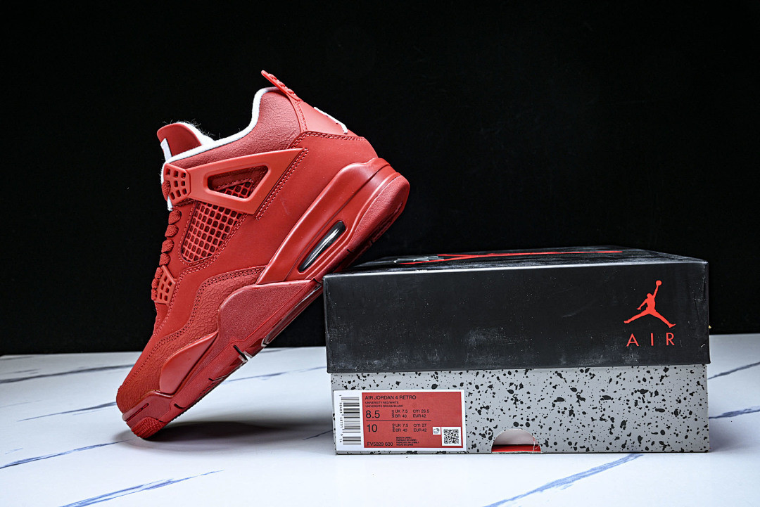Air Jordan 4 FV5029-600