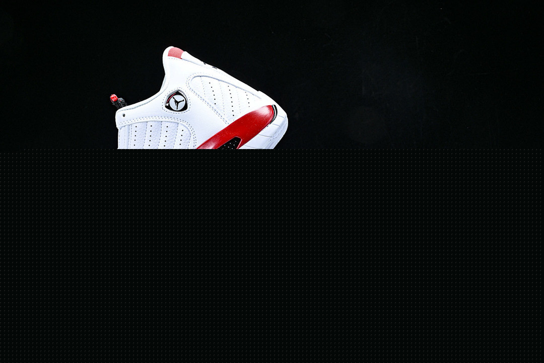 Air Jordan 14 Retro 487471-100