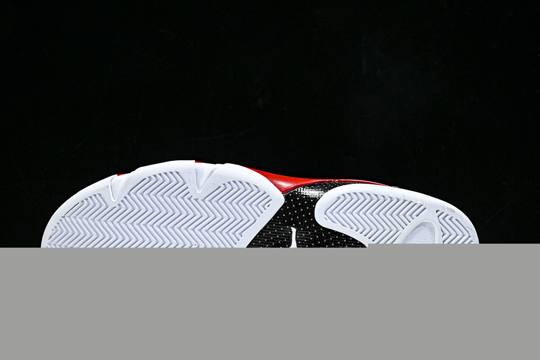 Air Jordan 14 Retro 487471-100