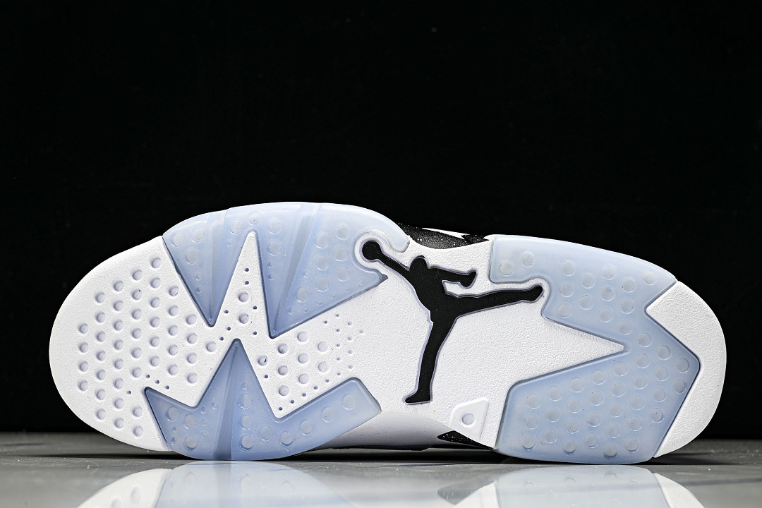 Air Jordan 6