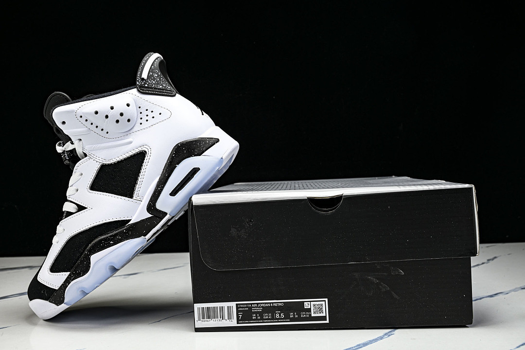 Air Jordan 6