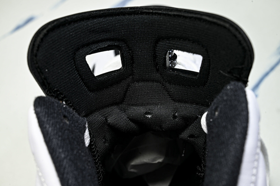 Air Jordan 6