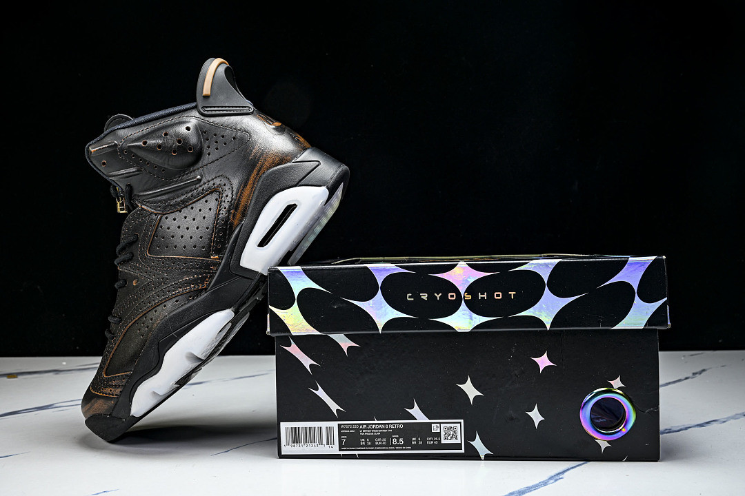 Air Jordan 6 Retro