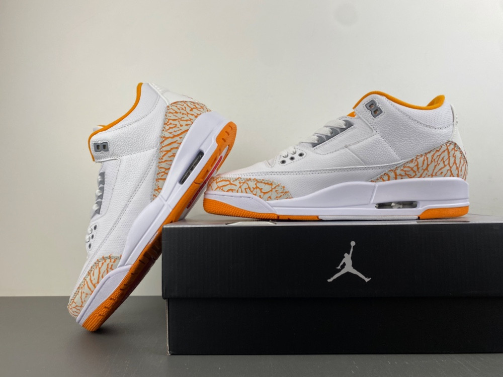 Air Jordan 3 WMNS CK9246-101