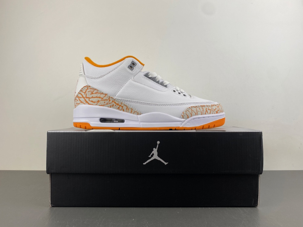 Air Jordan 3 WMNS CK9246-101