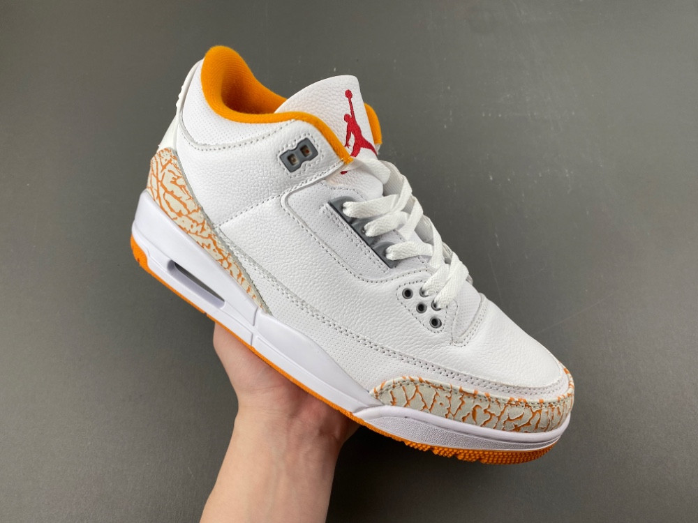 Air Jordan 3 WMNS CK9246-101