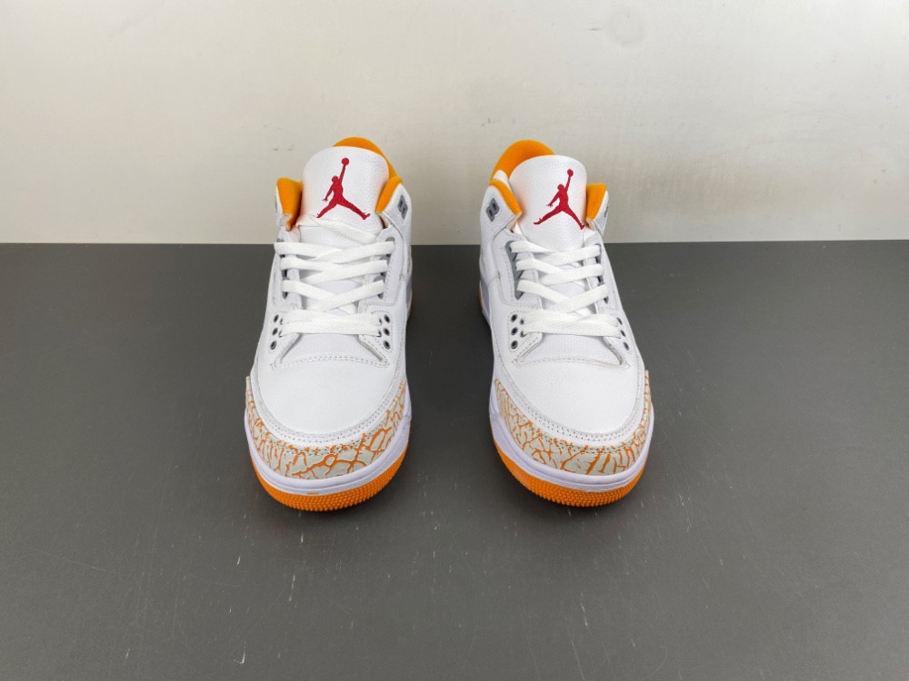 Air Jordan 3 WMNS CK9246-101