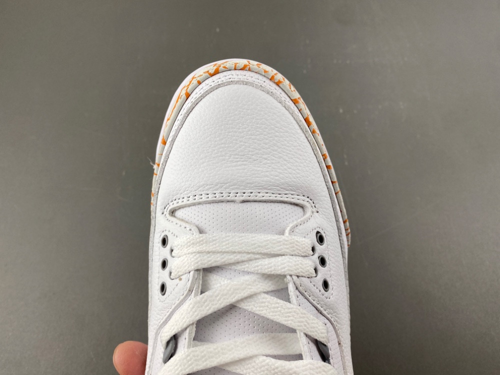 Air Jordan 3 WMNS CK9246-101