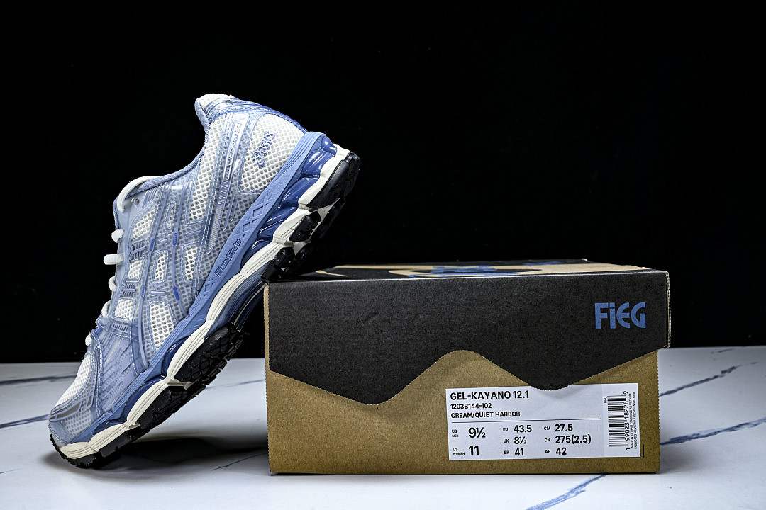 As1cs Sneaker 1203B144-102