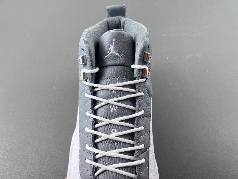 Air Jordan 12 STEALTH CT8013-015