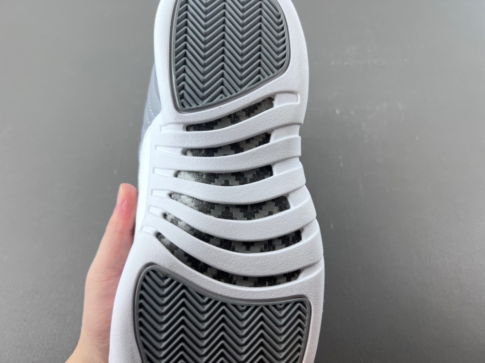 Air Jordan 12 STEALTH CT8013-015