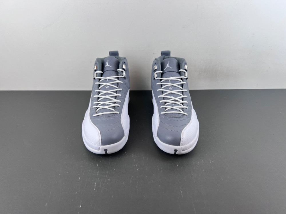 Air Jordan 12 STEALTH CT8013-015