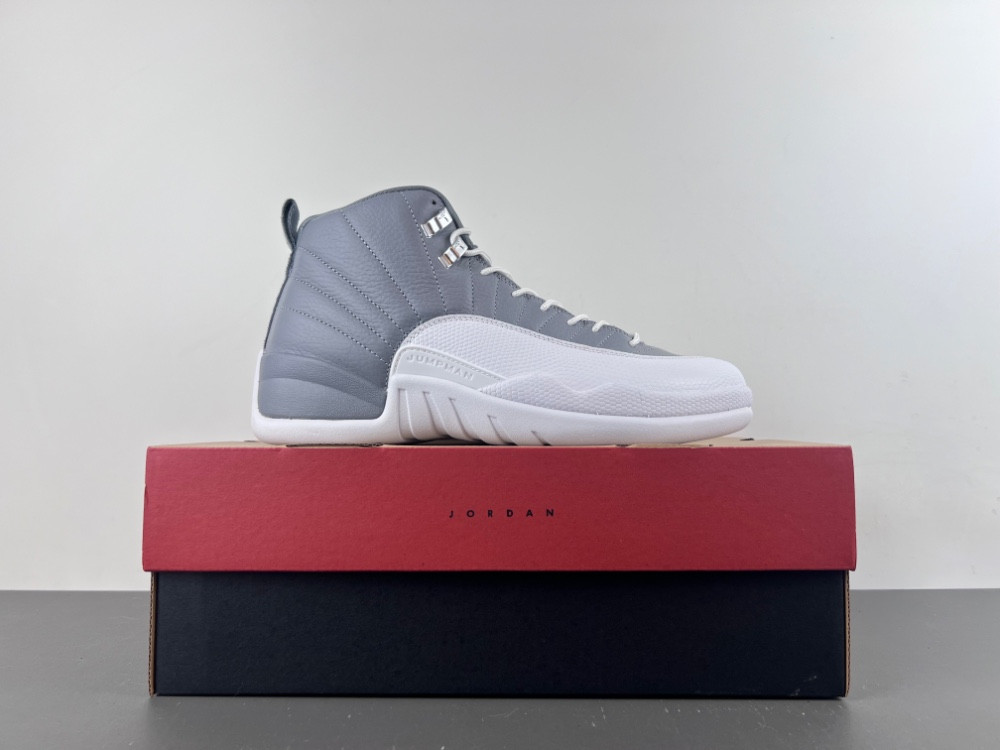 Air Jordan 12 STEALTH CT8013-015