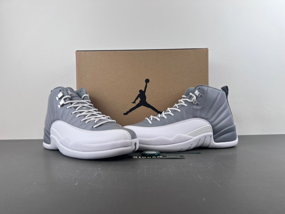Air Jordan 12 STEALTH CT8013-015