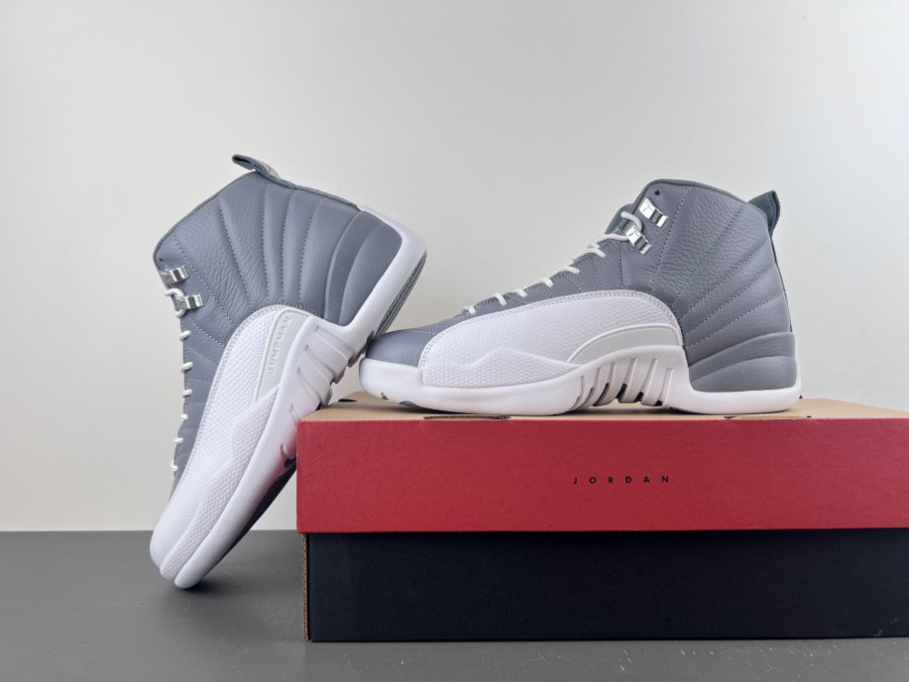 Air Jordan 12 STEALTH CT8013-015