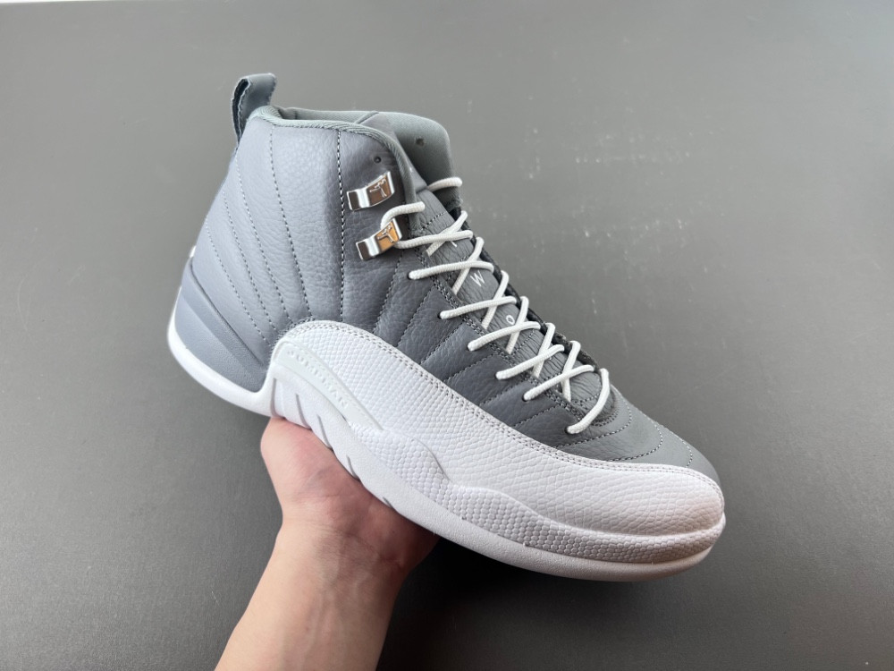 Air Jordan 12 STEALTH CT8013-015
