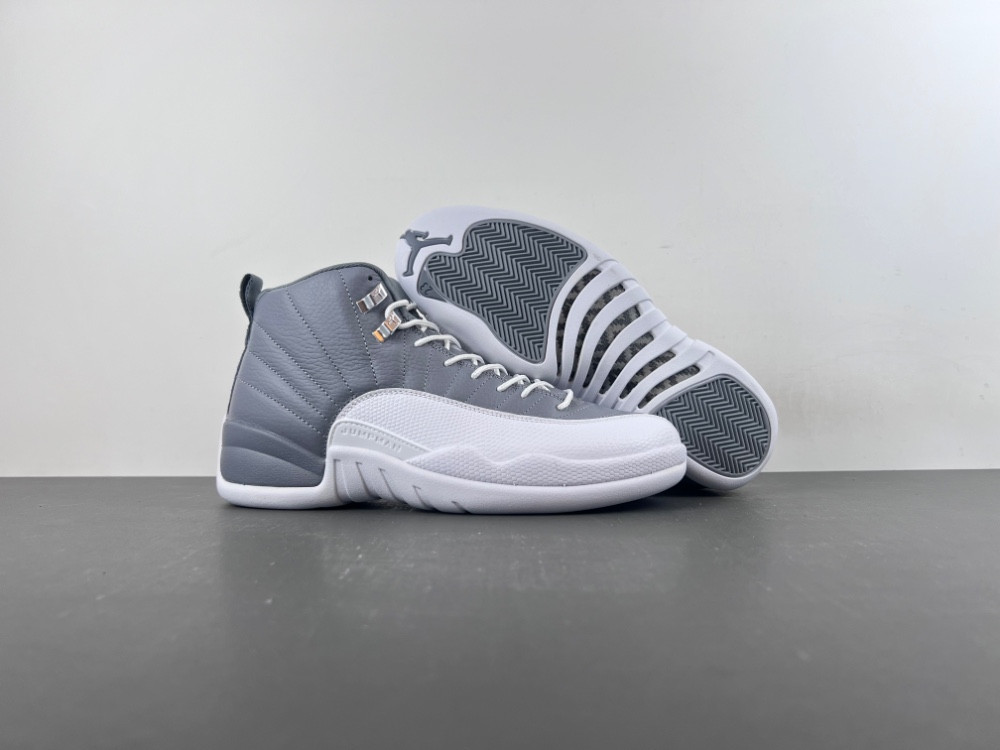 Air Jordan 12 STEALTH CT8013-015