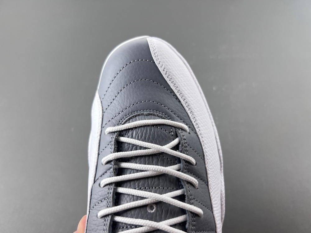 Air Jordan 12 STEALTH CT8013-015