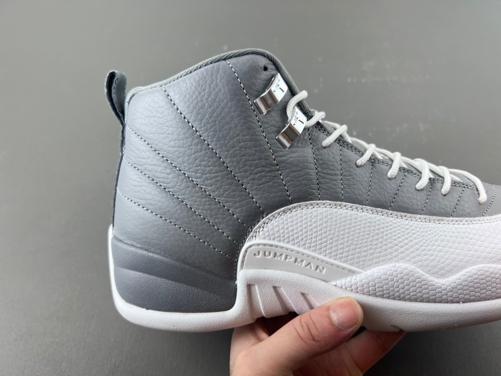 Air Jordan 12 STEALTH CT8013-015