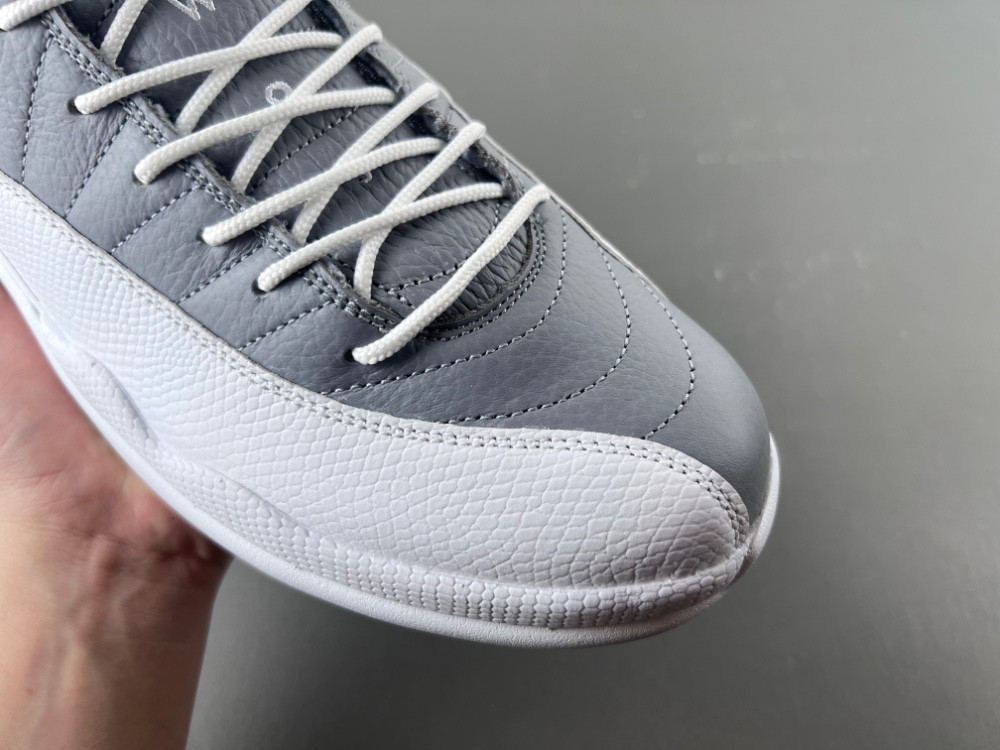 Air Jordan 12 STEALTH CT8013-015