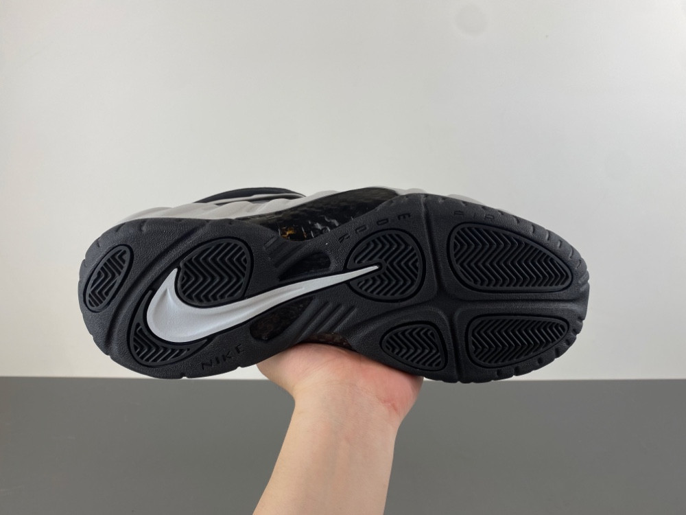 Nike Air Foamposite Pro “Wolf Grey HF0794-001