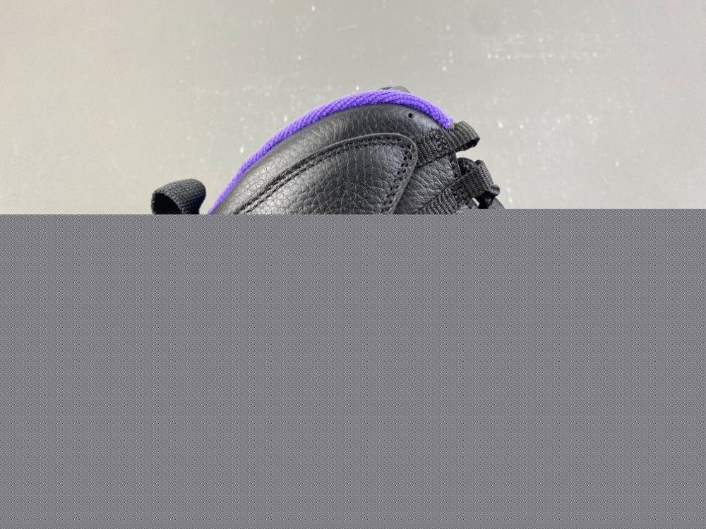 Air Jordan 10 OG Sacramento 130209-051