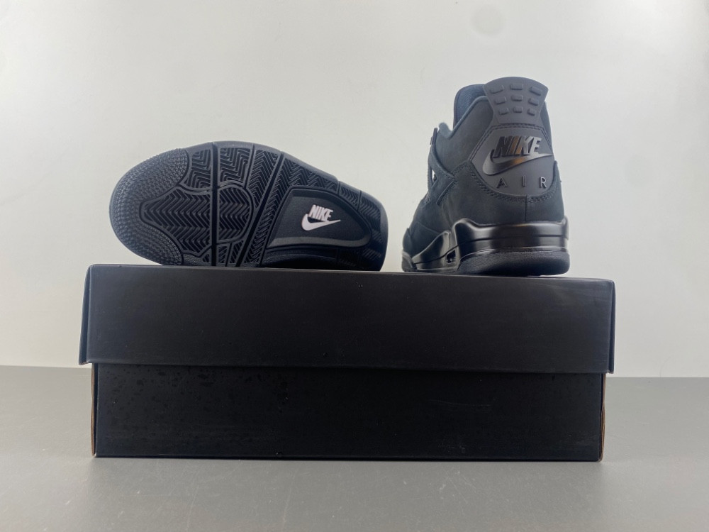 Air Jordan 4 “Black Cat” FV5029-010