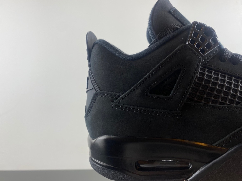 Air Jordan 4 “Black Cat” FV5029-010