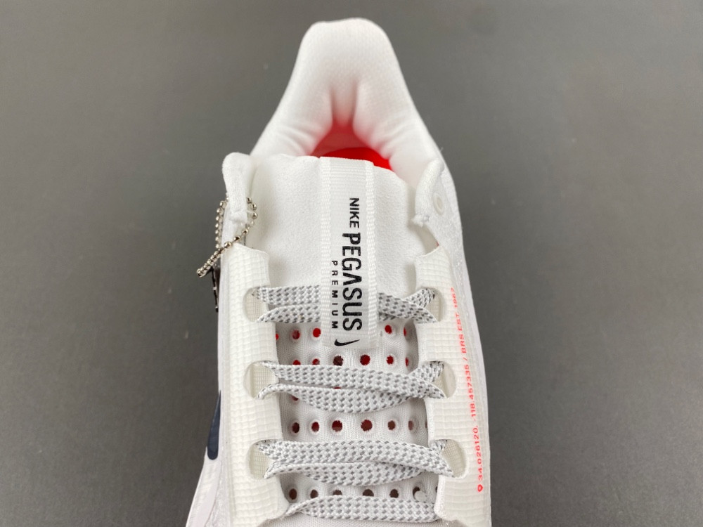 Nike Pegasus Premium Summit HQ2593-101