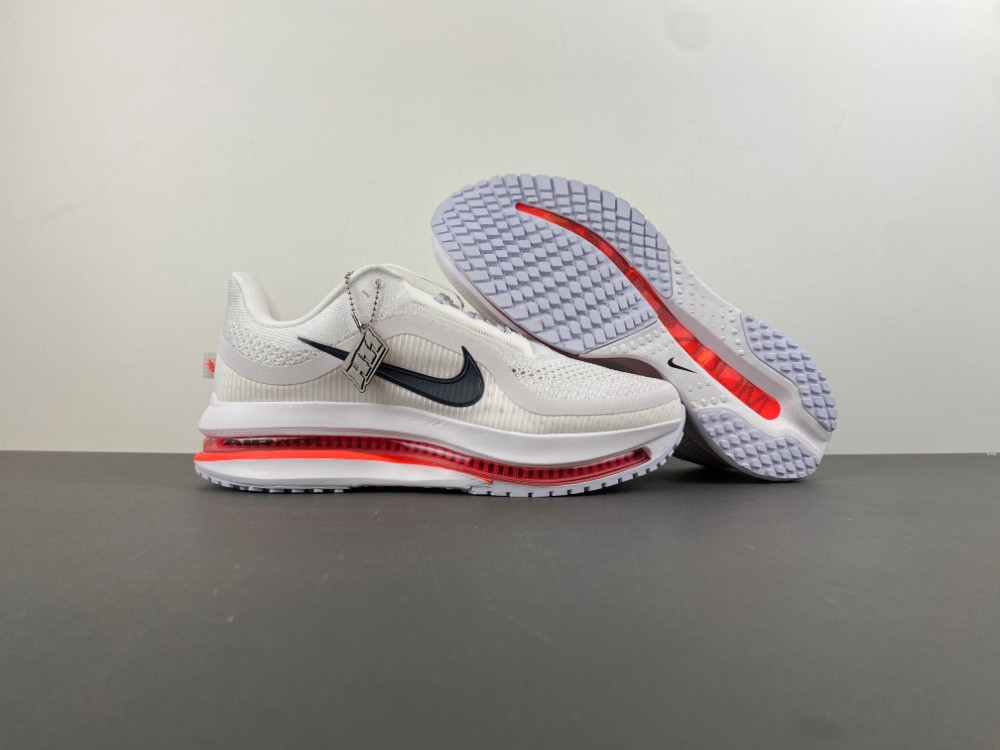 Nike Pegasus Premium Summit HQ2593-101