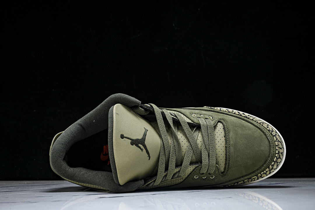 Air Jordan 3 “Family Affair” DN3707-202