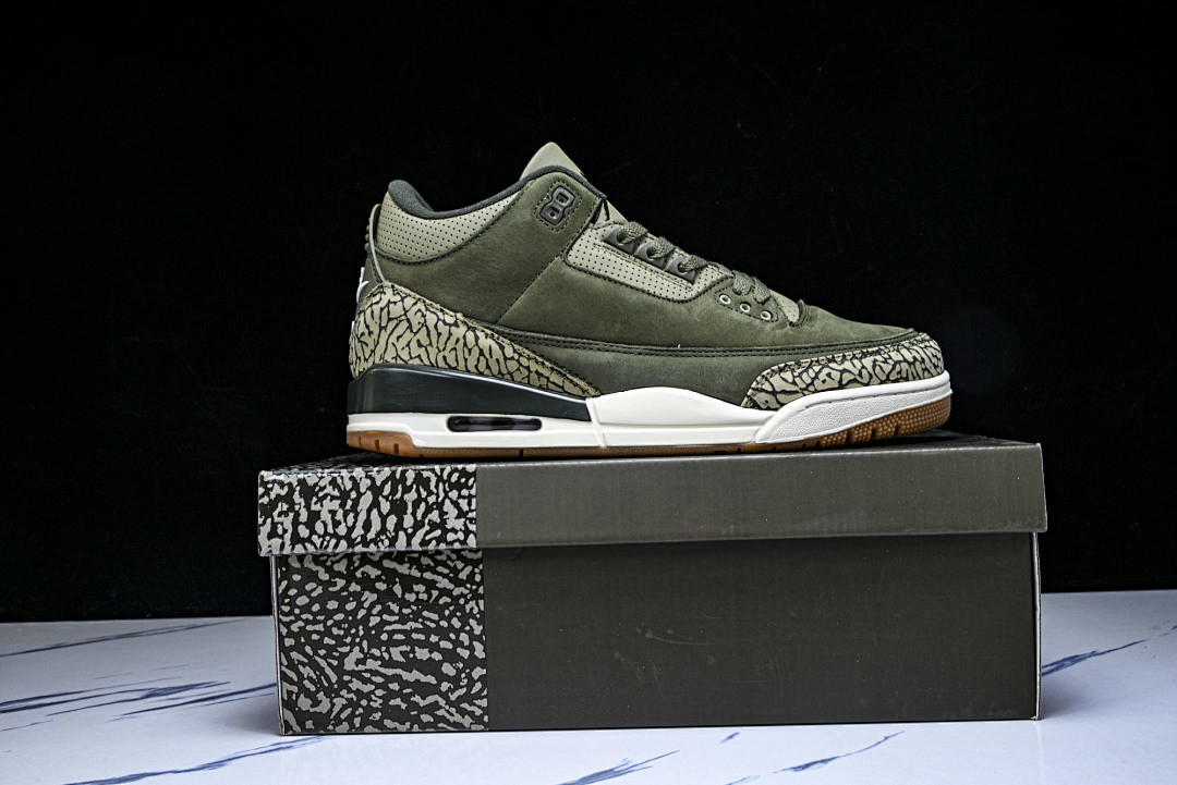 Air Jordan 3 “Family Affair” DN3707-202