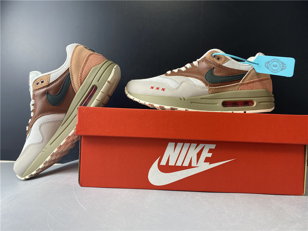 Nike Air Max 1 Amsterdam CV1638 200