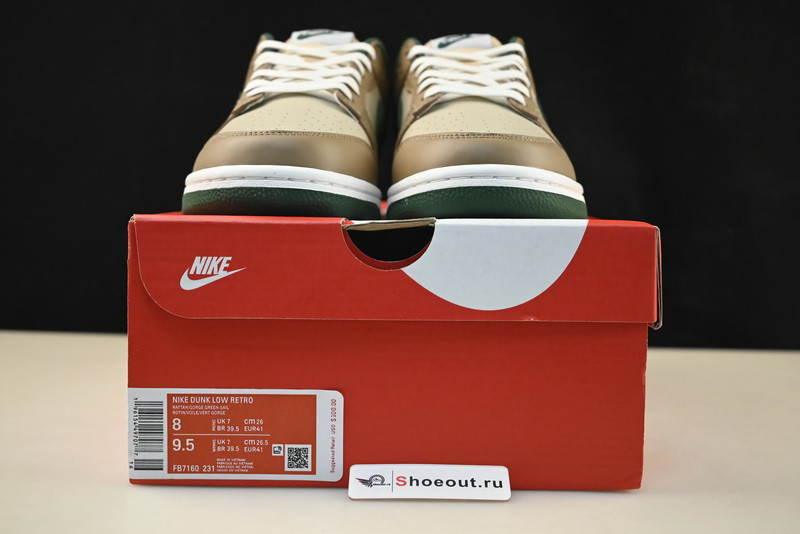 Nike Dunk Low FB7160-231