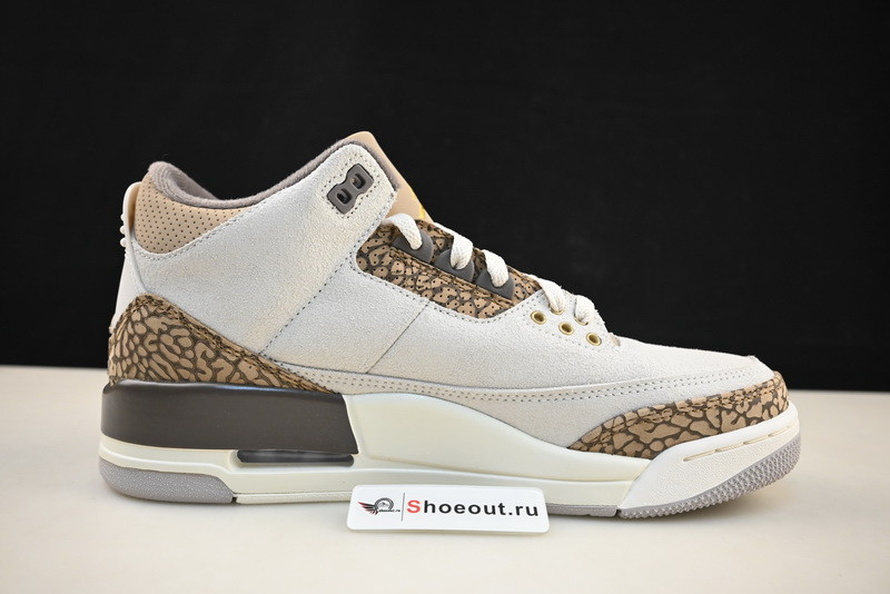 Air Jordan 3 “Palomino” CT8532-102
