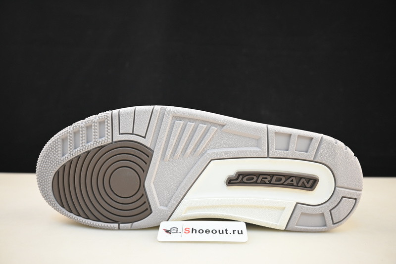 Air Jordan 3 “Palomino” CT8532-102