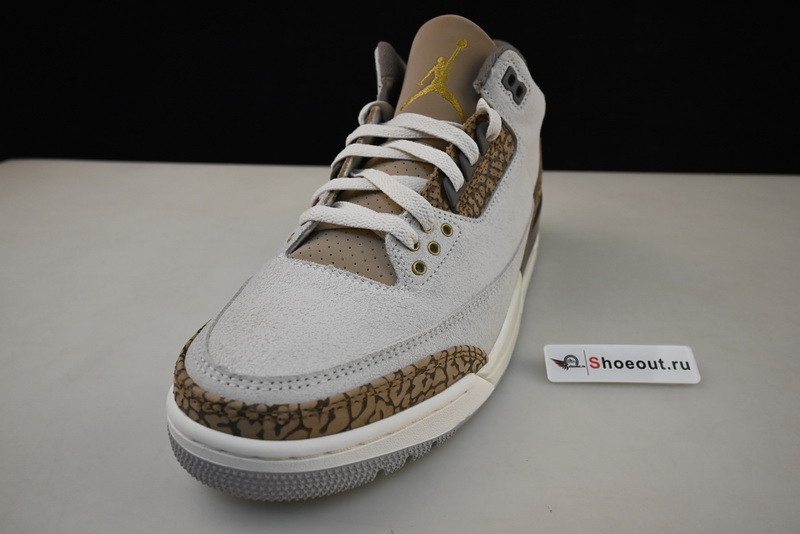 Air Jordan 3 “Palomino” CT8532-102