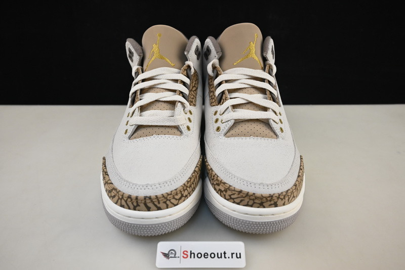 Air Jordan 3 “Palomino” CT8532-102