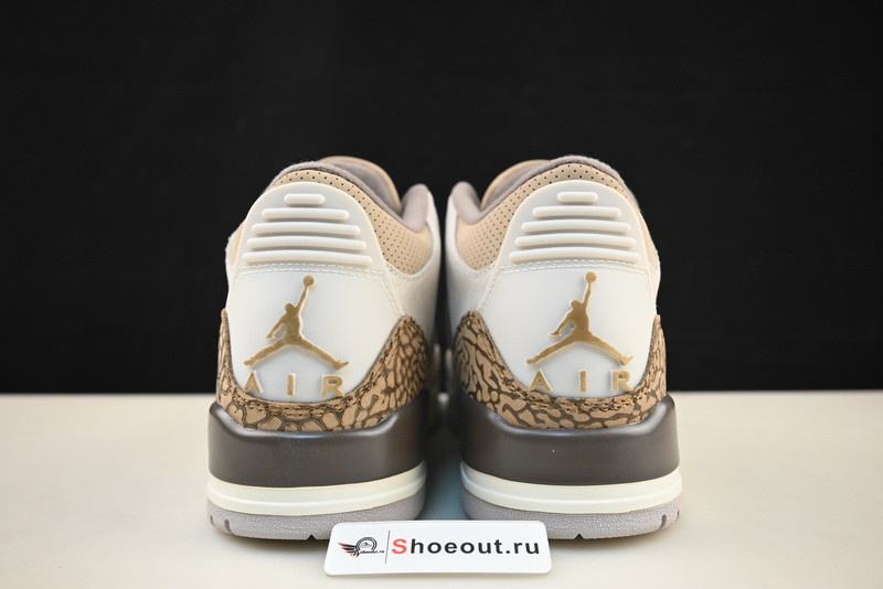 Air Jordan 3 “Palomino” CT8532-102