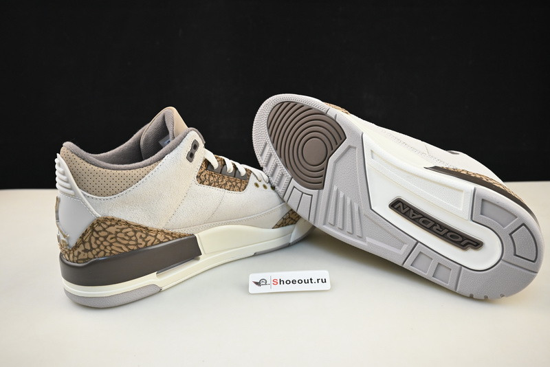 Air Jordan 3 “Palomino” CT8532-102