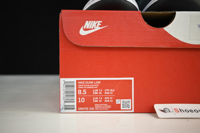 Nike Dunk Low DR9705-300