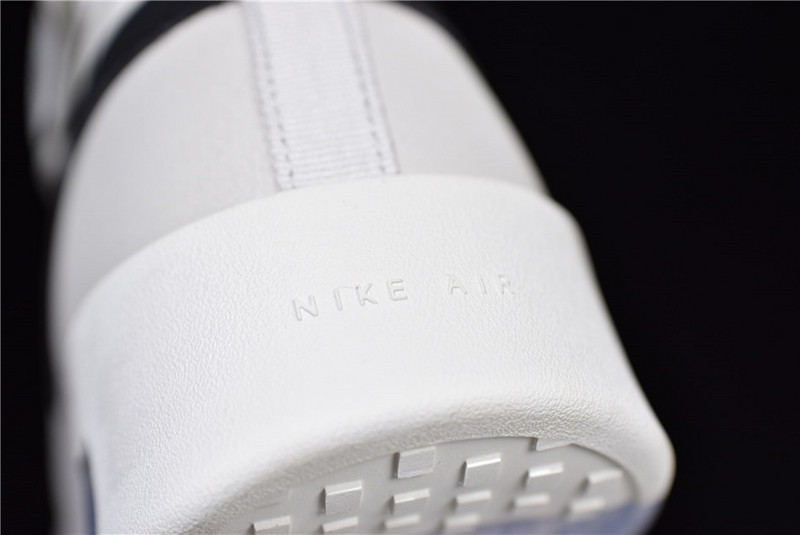 Nike Air Fear of God Raid Light Bone AT8087-001