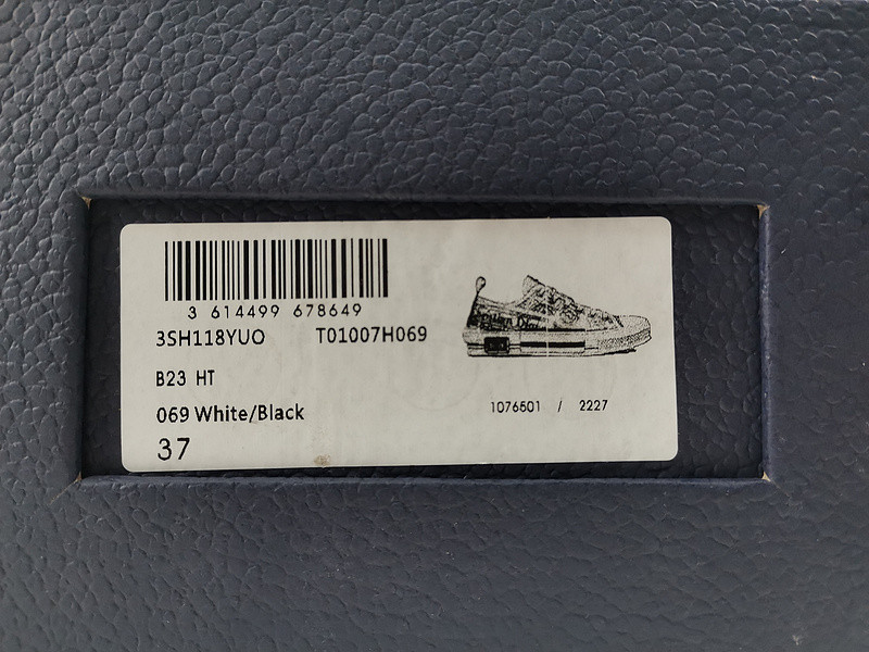 DR B23 Low Top Daniel Asham Newspaper 3SN249YUO_H069