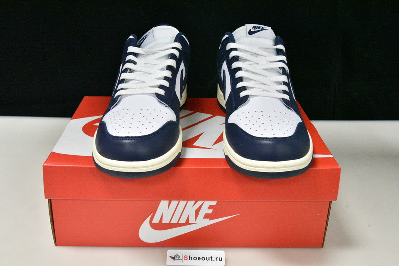 Nike SB Dunk Low DD1503-115