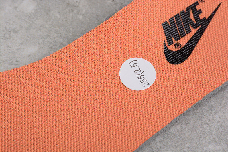 Nk Dunk Low "Dark Driftwood" DO6712-200