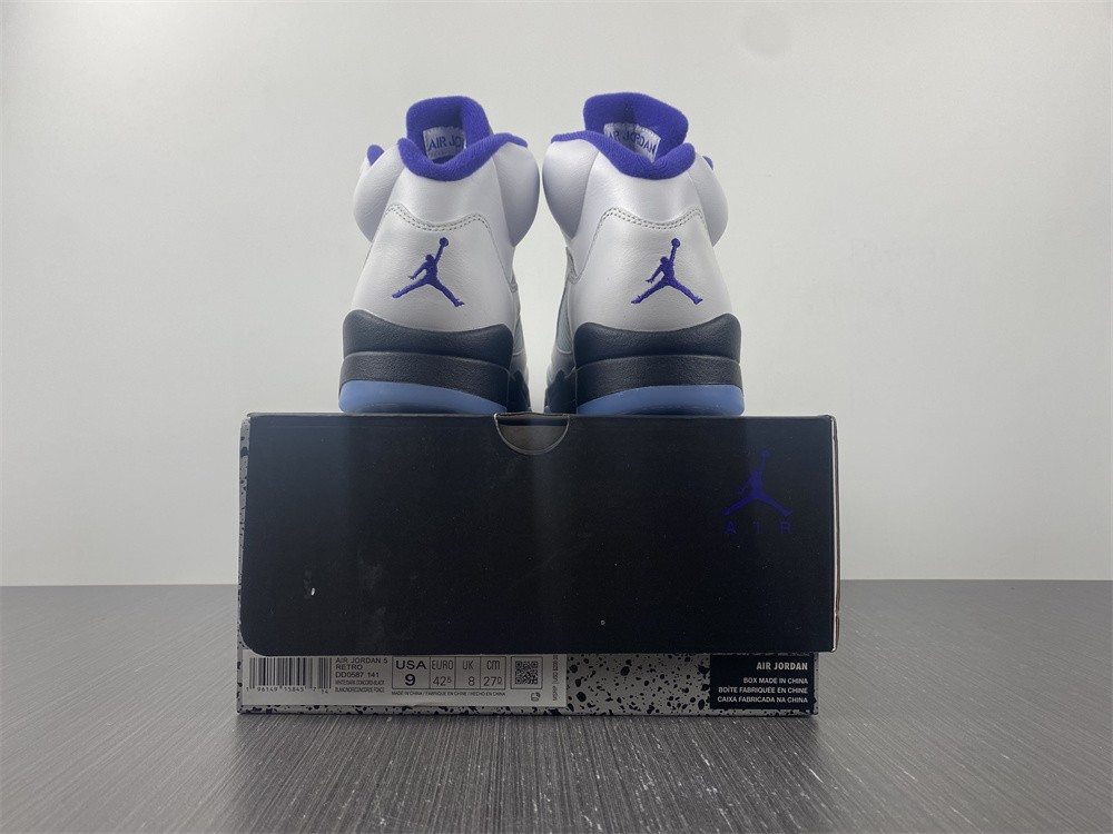 Air Jordan5 CONCORD DD0587-141