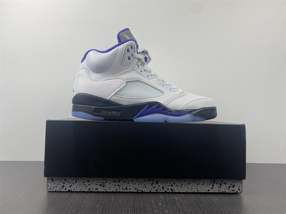 Air Jordan5 CONCORD DD0587-141