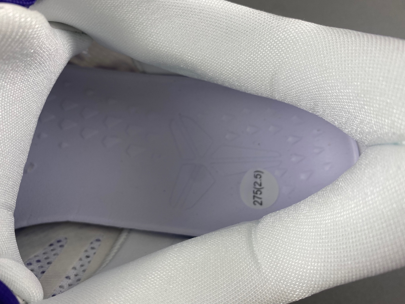 Nike Kobe 8 Protro “Court Purple” FQ3549-100